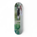 georgiaandicytreesk skateboards