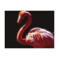 Georgous Flamingo Post Cards