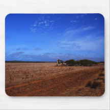 Geraldton Leaning Tree Mouse Pads