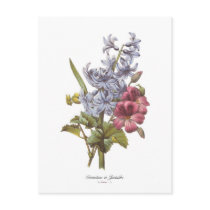 Geranium and Hyacinth Post Card