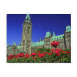 Geranium beds in full bloom on Parliament Hill, Ot postcards