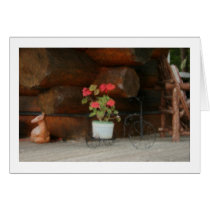 Geranium Blank Cards