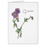 Geranium Blank Greeting Card