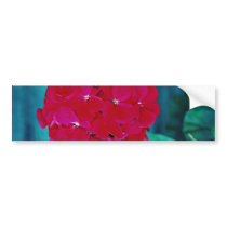 Geranium bloom head, Whitby, Ontario, Canada  flow Bumper Sticker