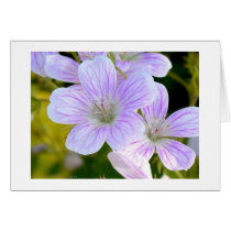 Geranium Card