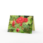 Geranium Card