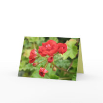 Geranium Card