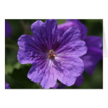 Geranium Card