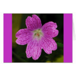 Geranium Card
