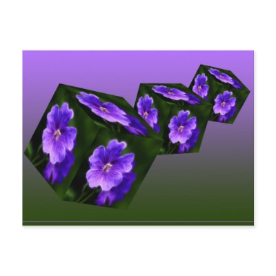 Geranium Cubes Postcard by Flowerpixels