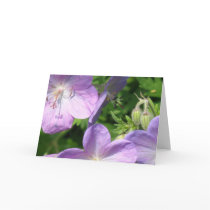 Geranium Greeting Card