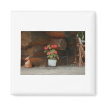 Geranium Magnet