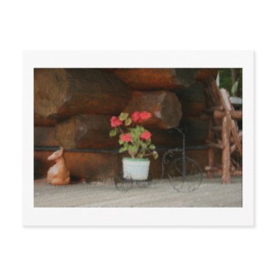 Geranium Postcards by Madbull_Images