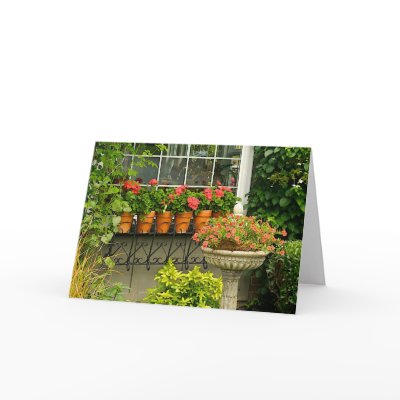 Geranium Pots Greeting Card by JanetLoughrey