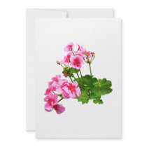 Geranium Profile Invites