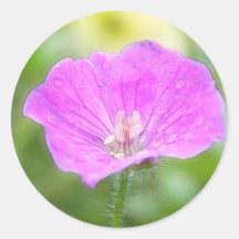 Geranium Sanguineum Flower Stickers