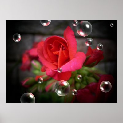 Geranium Spot Light With Bubble Canvas/Poster by Bessierae