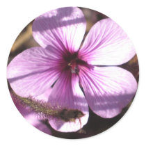 Geranium Sticker Sticker