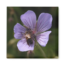 Geranium with Bee Fridge Magnet