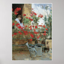 Geraniums, 1888-89