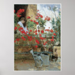 Geraniums, 1888-89 print
