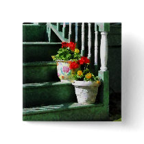 Geraniums and Pansies on Steps
