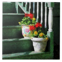 Geraniums and Pansies on Steps Ceramic Tile