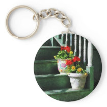 Geraniums and Pansies on Steps