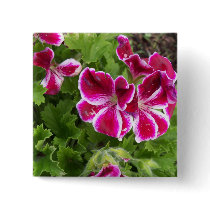 Geraniums Button