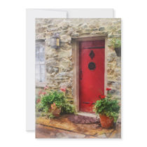 Geraniums by Red Door