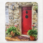 Geraniums by Red Door