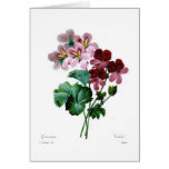 Geraniums cards