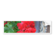 "Geraniums"  CricketDiane Art, Design & Photograph Bumper Sticker