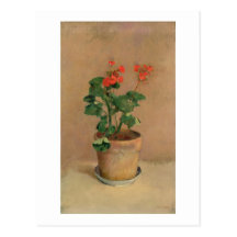 Géraniums dans un pot, c.1905 (huile sur la toile) cartes postales