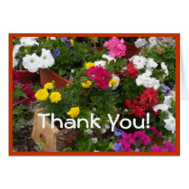 Geraniums Floral Symphony Greeting Card