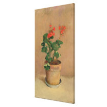 Geraniums in a Pot, c.1905 (oil on canvas) canvas prints