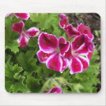 Geraniums Mousepad