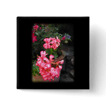 Geraniums. Pelargonium flowers. Pinback Button