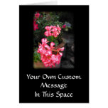 Geraniums. Pelargonium flowers. Card