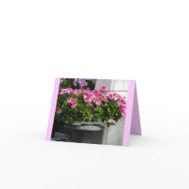 Geraniums Planter Greeting Card