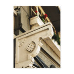 Geraniums Postcards