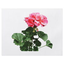 Geraniums Standing Tall