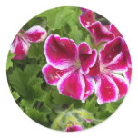 Geraniums Stickers