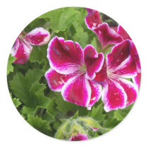 Geraniums Stickers