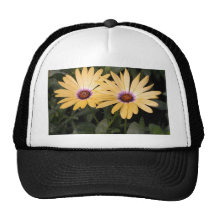Gerber Daisey Casquettes De Camionneur