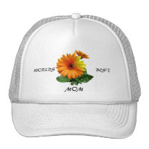 GERBER DAISY-HAT