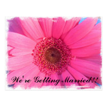 Gerber Daisy Invitation Post Card