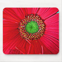 Gerber Daisy Mousepad