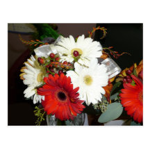 gerber daisy postcard