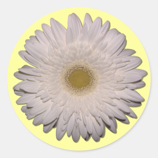 Gerber Daisy Round Sticker